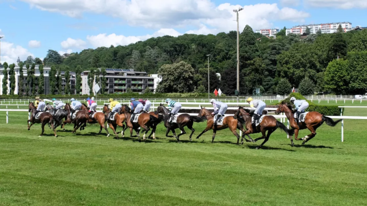 Courses à l’Hippodrome 