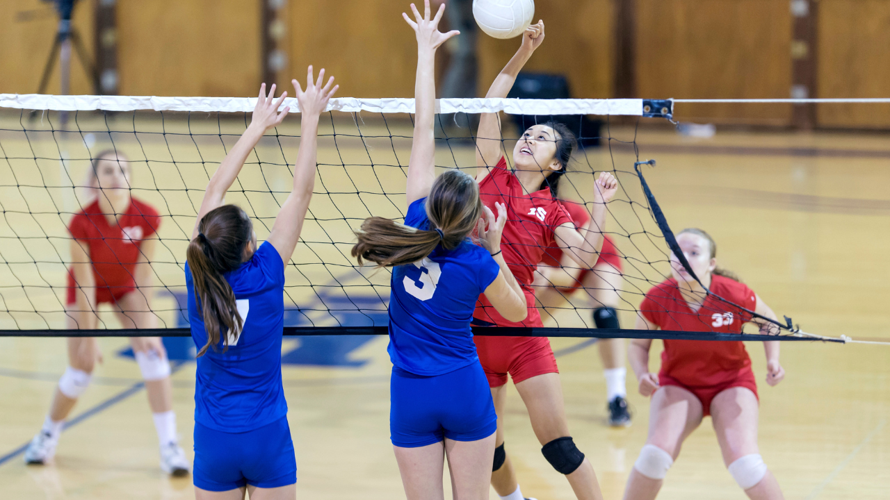 Les Bons Plans du week-end du 17 au 19 mai - Tournoi international de volley