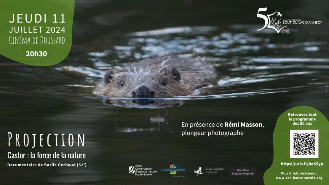 Soirée Documentaire sur le castor à Doussard le jeudi 11 juillet