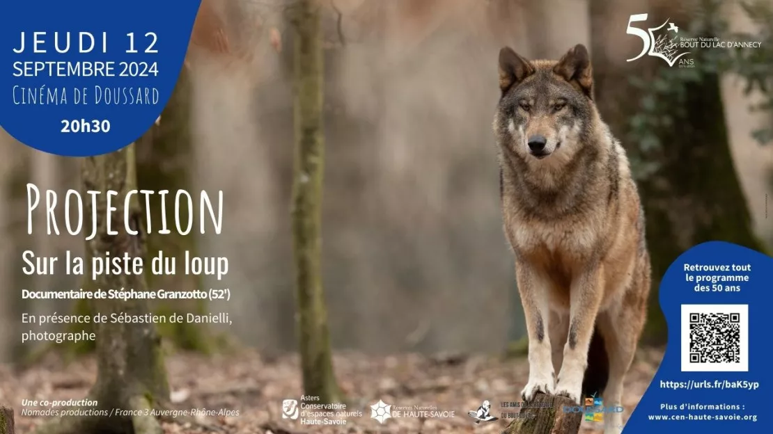 Projection du documentaire "Sur la piste du loup" le jeudi 12/09 à 20h30 au cinéma de Doussard