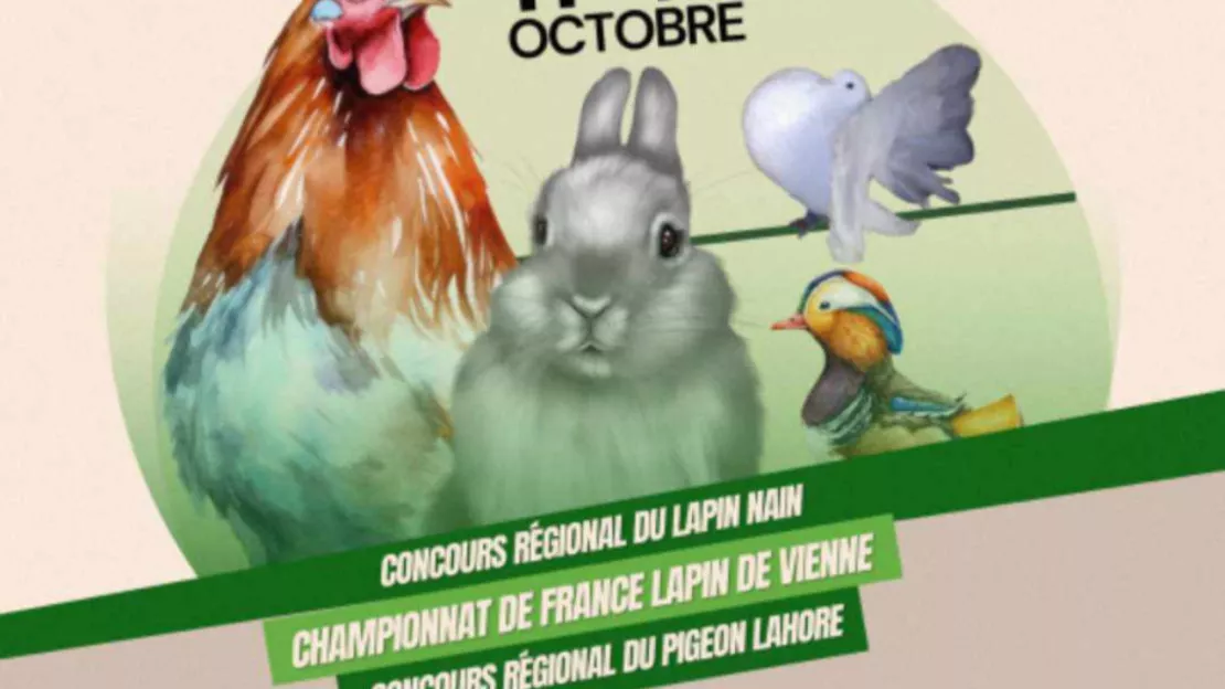 Exposition d'animaux de basse-cour