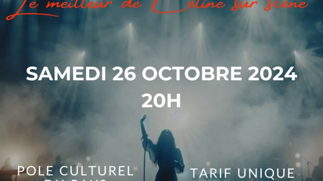 Spectacle DESTIN – Tribute Céline Dion au Pôle à Alby sur Chéran