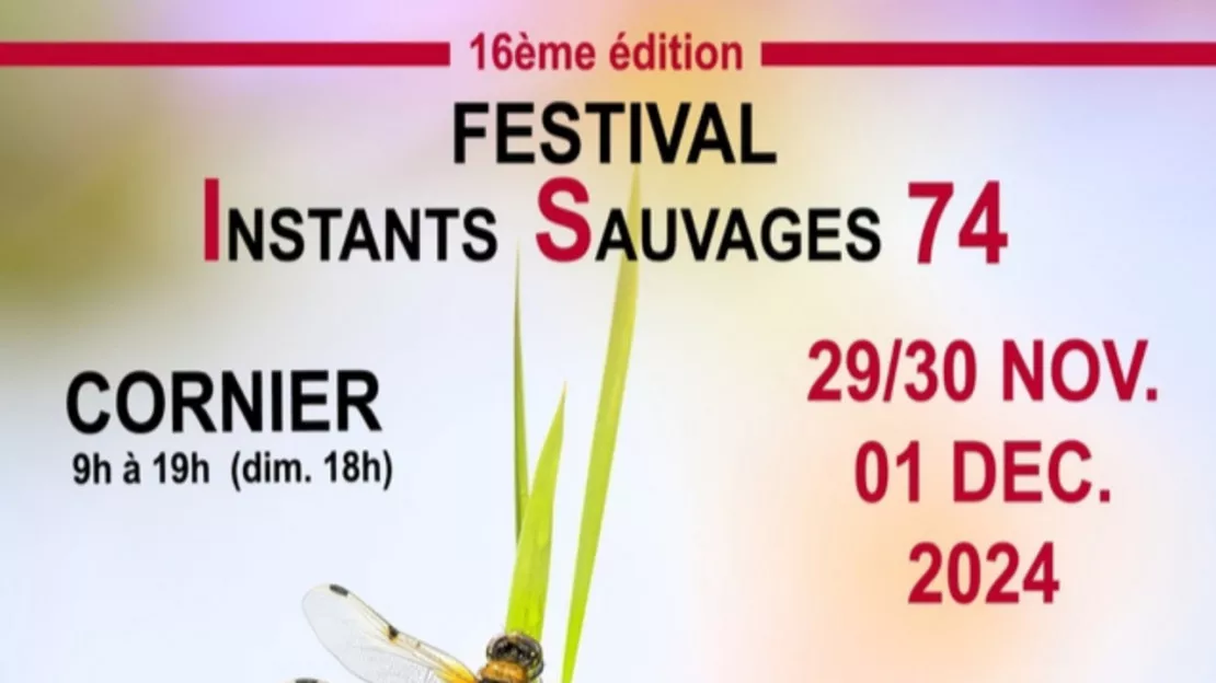 16ème édition du Festival Instants Sauvages 74