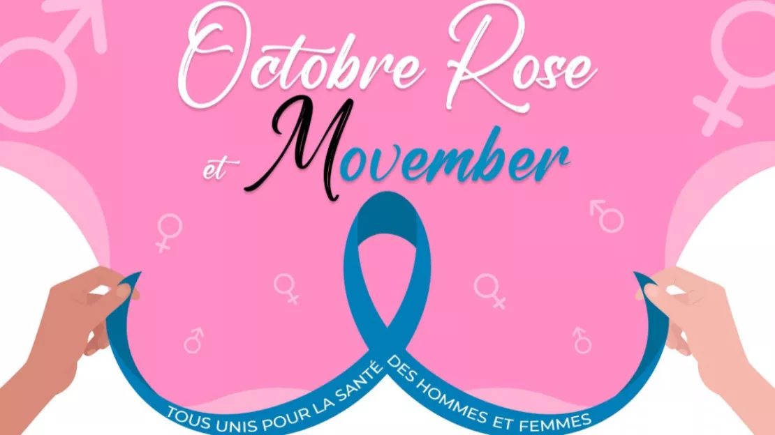 PARTENAIRE- LE POLYEDRE A SEYNOD SOIREE MOVEMBER