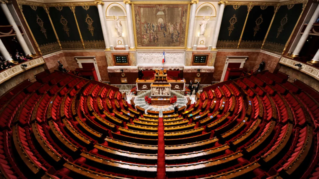 Assemblée nationale: la proposition d'un député Haut-Savoyard