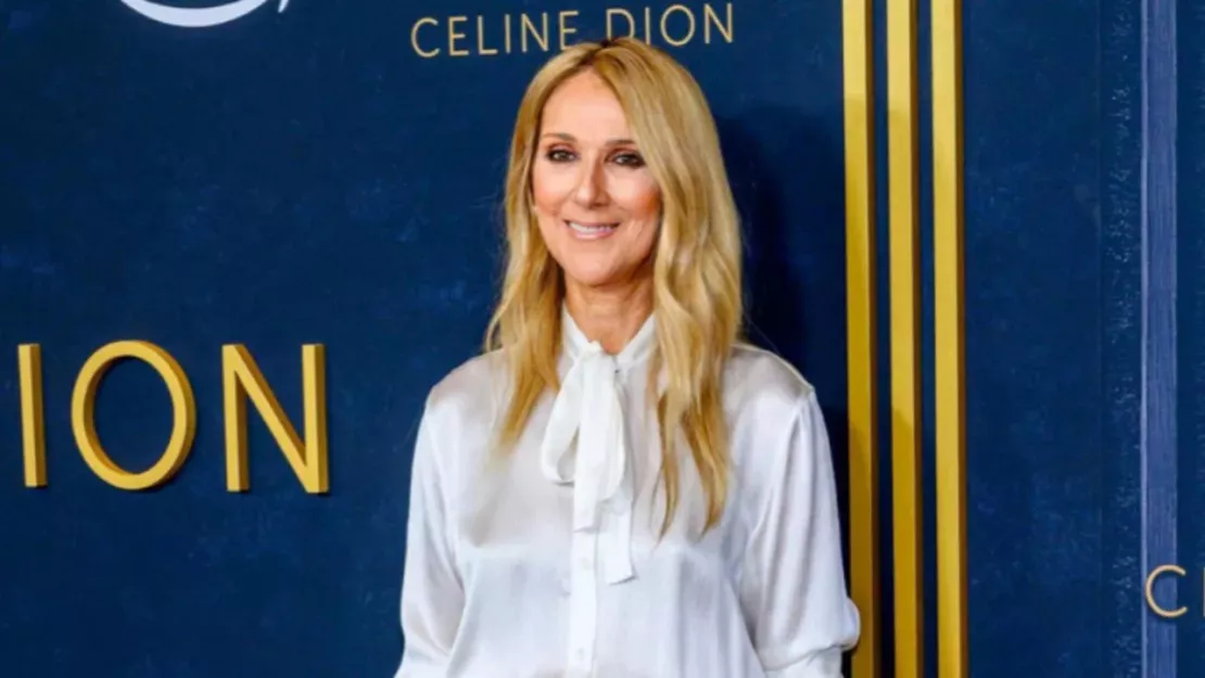 Céline Dion : cet énorme don fait pour aider la recherche