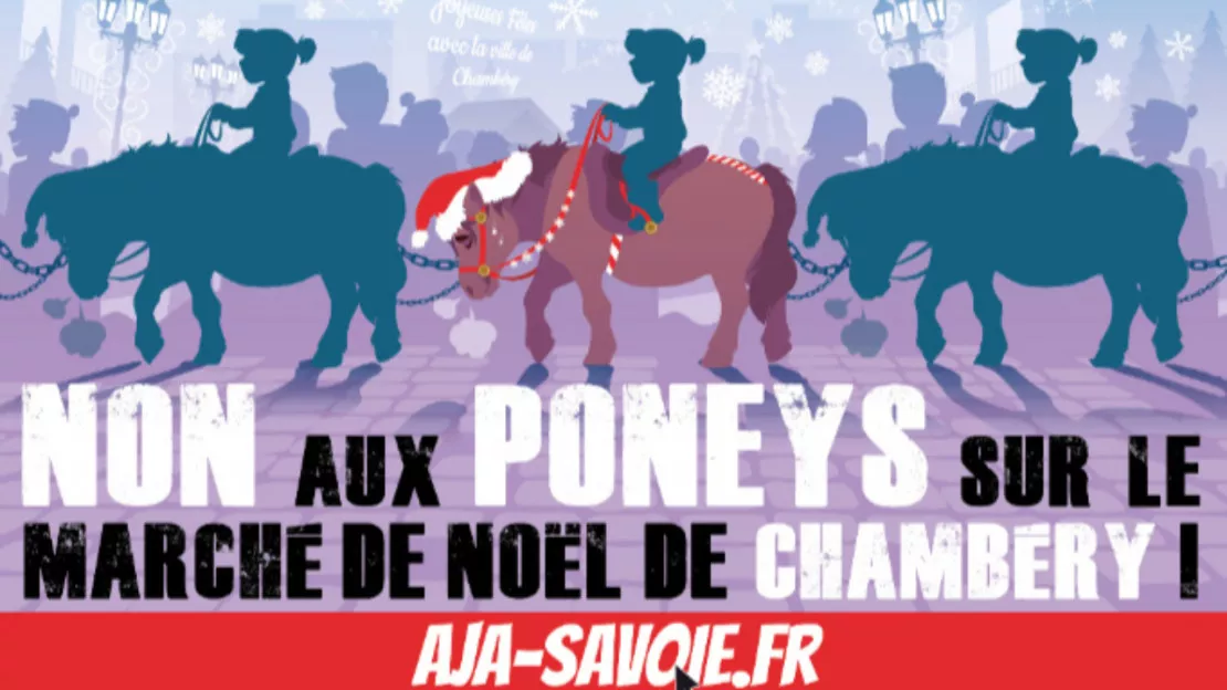 Chambéry : Non aux balades à poney sur le marché de noel