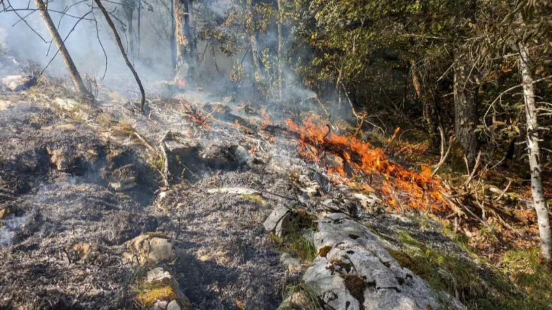 Savoie: encore plusieurs départs de feux ces dernières heures