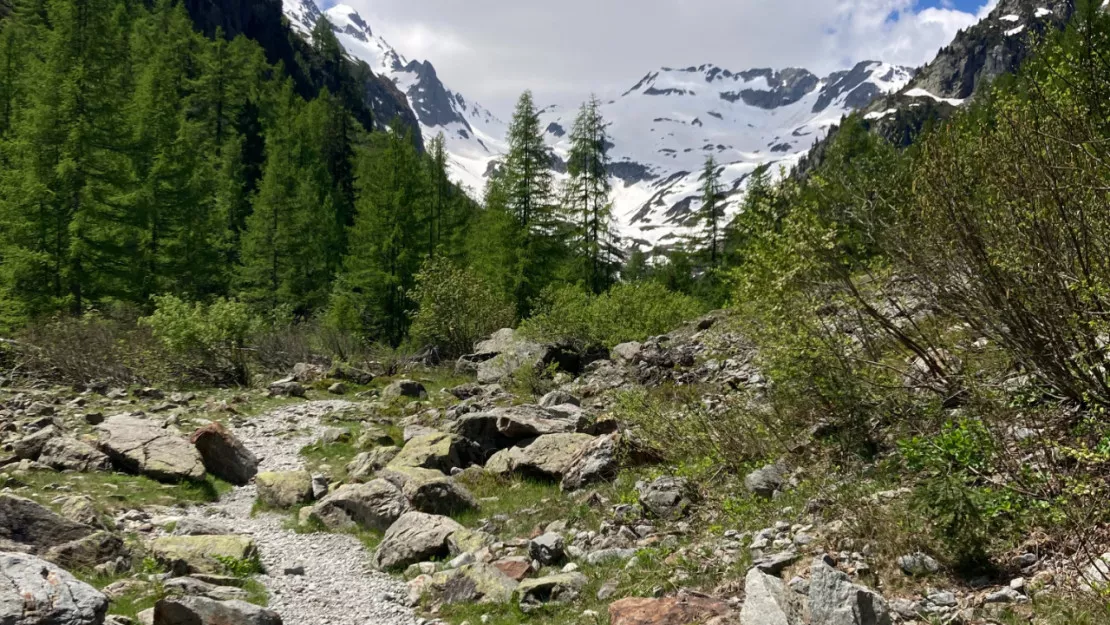 Haute-Savoie : un écroulement spectaculaire dans le massif des Aiguilles Rouges