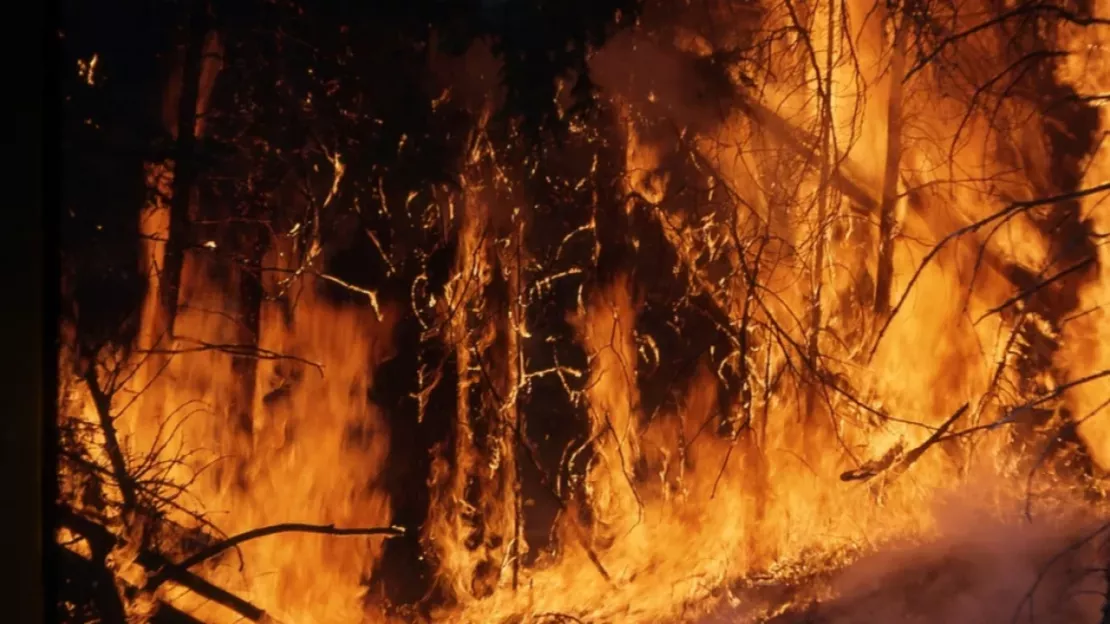 Massif du Semnoz: l’incendie est désormais fixé