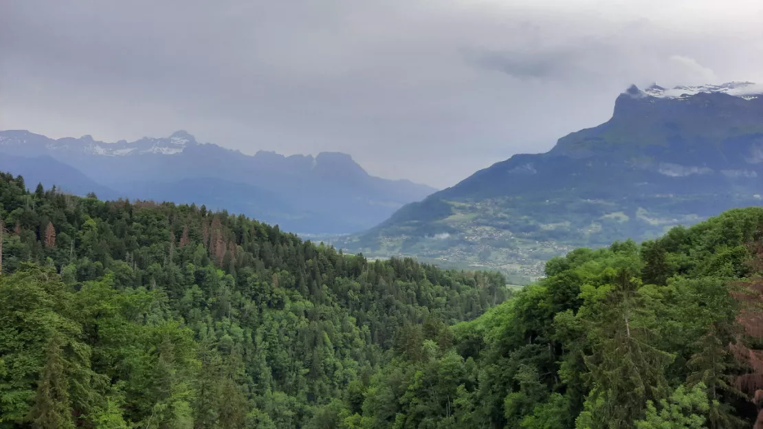 Qualité de l’air : pourquoi le plan de protection de l’atmosphère va continuer