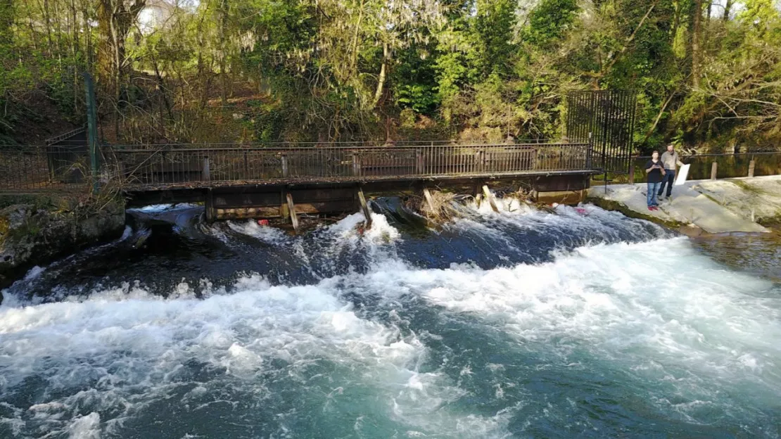 Une nouvelle plainte déposée dans le cadre de la pollution du Thiou à Annecy