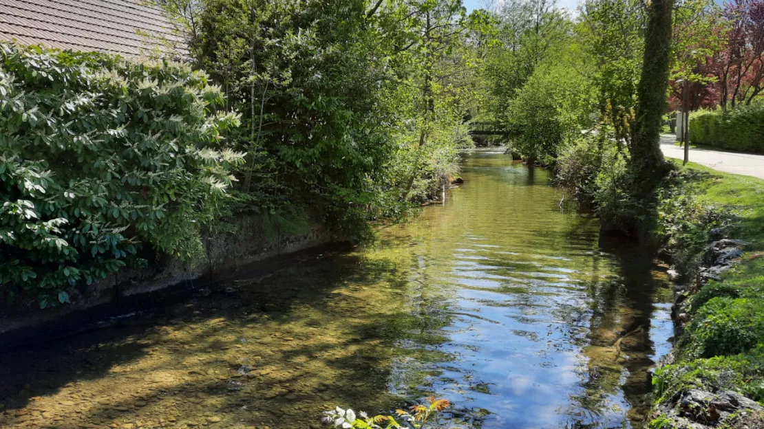 Véolia condamnée pour une pollution de l'eau