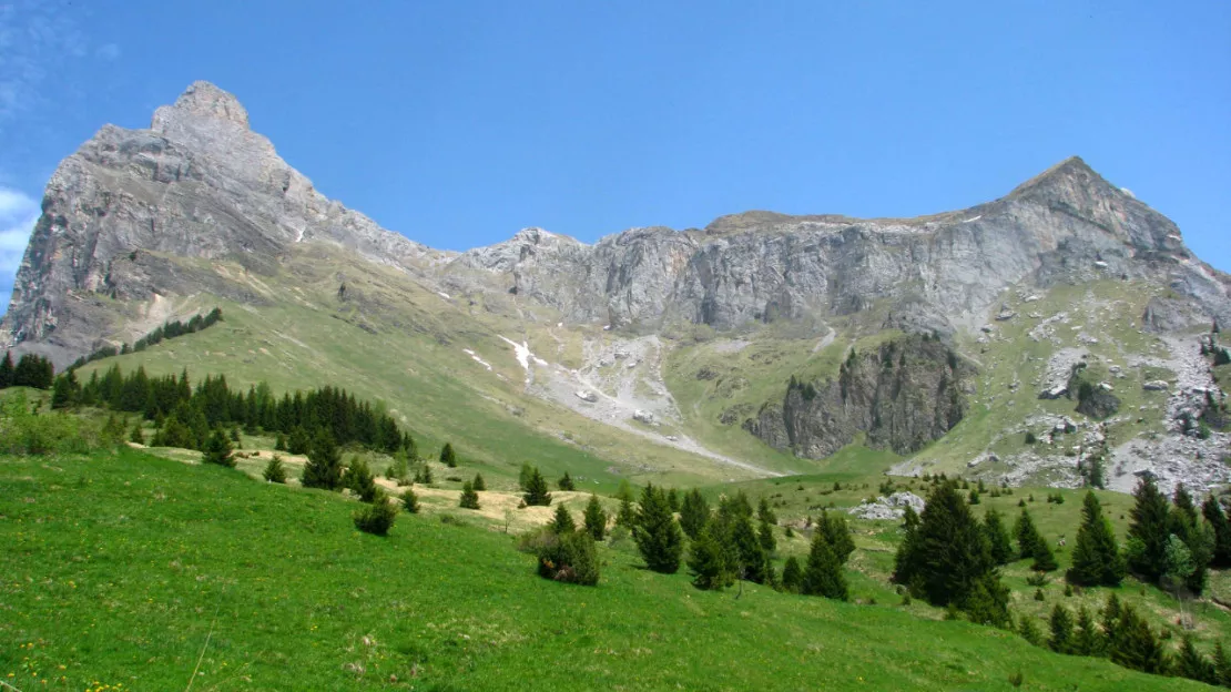 Vers une réhabilitation des terrains d’alpage en Savoie